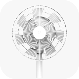 Fan